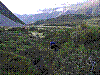1631 - Wegsuche im Tasman Valley.JPG