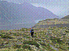 1717 - Auf der Moraene im Hooker Valley (Hintergrund die kl. Schutzhuette).JPG